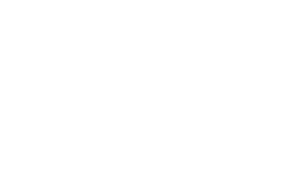 MetisHeart, Persone e Organizzazioni